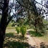 Promenade in der Promenade