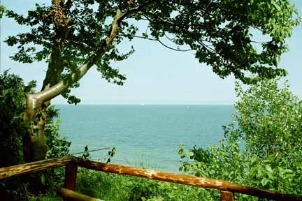 Ausblick vom der Waldpromenade