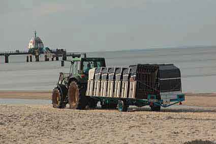 Strandkorb Transport