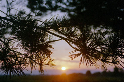 Sonnenuntergang in Trassenheide